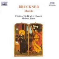 Bruckner - Motets | Naxos 8550956
