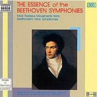 Beethoven - Essence Of The Symphonies