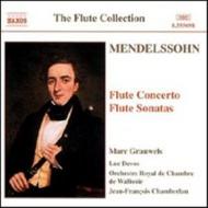Mendelssohn - Flute Concerto in D minor | Naxos 8555698