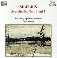 Sibelius - Symphonies Nos.1 & 3 | Naxos 8554102