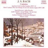 Bach - Cantatas | Naxos 8550643