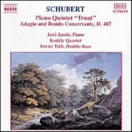 Schubert - Trout Quintet | Naxos 8550658