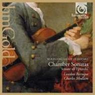 Mozart - Chamber Sonatas | Harmonia Mundi - HM Gold HMG501137