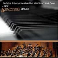 Liszt - Sonata in B minor (Piano & Orchestra Versions)