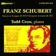 Schubert - Piano Sonatas No.14 & No.20 | Bridge BCD9018