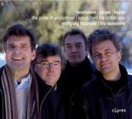 The Pulse of an Irishman / Songs from the British Isles