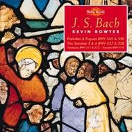 Bach - Complete Works for Organ vol.12