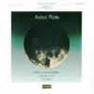 Plate - Moon a Pale Imitation, Greasy Luck, etc