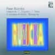 Ruzicka - Metastrofe, Fragment, Stress, etc
