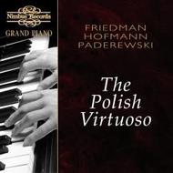 The Polish Virtuoso | Nimbus - Grand Piano NI8802