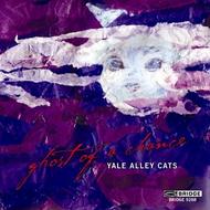 Yale Alley Cats: Ghost of a Chance