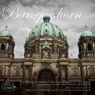 Steven Gross: Baroque Horn | Summit Records DCD511