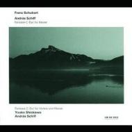 Schubert - Fantasies | ECM 4643202
