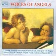 Voices Of Angels | Naxos 8503071