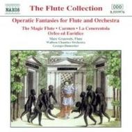 Operatic Fantasies for Flute and Orchestra | Naxos 8555976