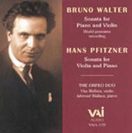 Walter / Pfitzner - Sonatas | VAI VAIA1155