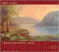 An die Musik: 19th-century Virtuoso Music for Violin & Guitar