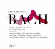 J S Bach - Cantatas, Motet | Zig Zag Territoires ZZT090502