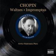Chopin - Waltzes and  Impromptus | Naxos - Historical 8111365