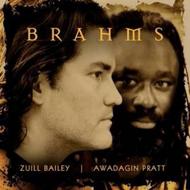 Brahms - Works for Cello and Piano | Telarc TEL3266402
