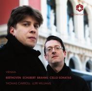 Thomas Carroll: Vienna
