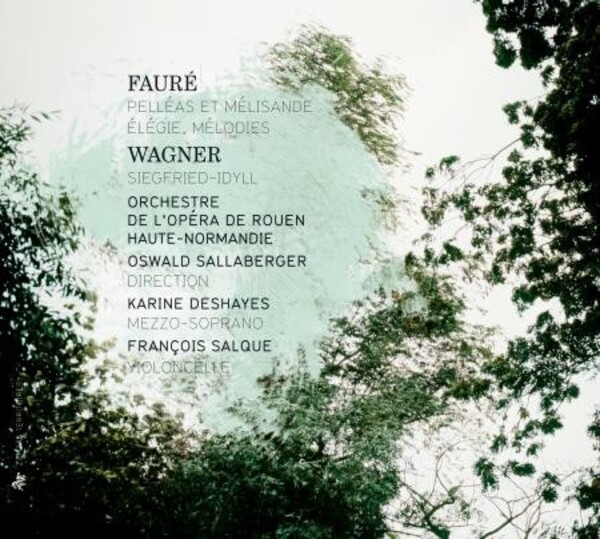 Wagner - Siegfried Idyll / Faure - Pelleas et Melisande, etc