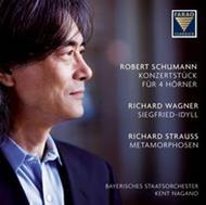 Schumann - Konzertstuck / Wagner - Siegfried-Idyll / R Strauss - Metamorphosen | Farao S108061