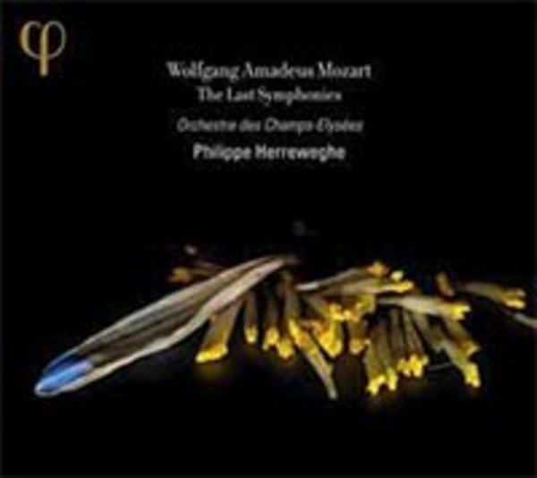 Mozart - The Last Symphonies
