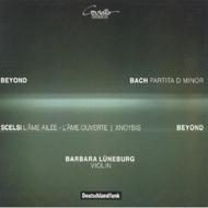 Barbara Luneburg: Beyond