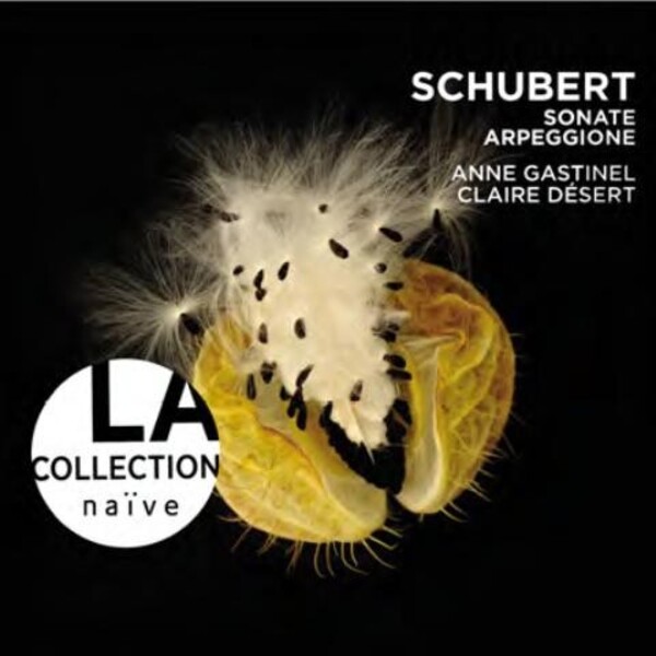 Schubert - Sonate Arpeggione | Naive - La Collection NC40021
