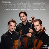 Beethoven - String Trio, Serenade | BIS BIS2087