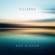Ned Bigham - Culebra | Aruna Records ARUNACD001