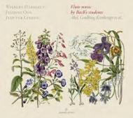 Flute Music by Bach�s students | Glossa - Cabinet GCDC80802