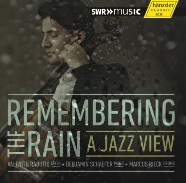 Remembering the Rain  A Jazz View