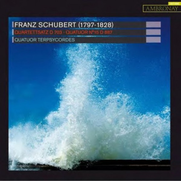 Schubert - String Quartet No.15, Quartettsatz