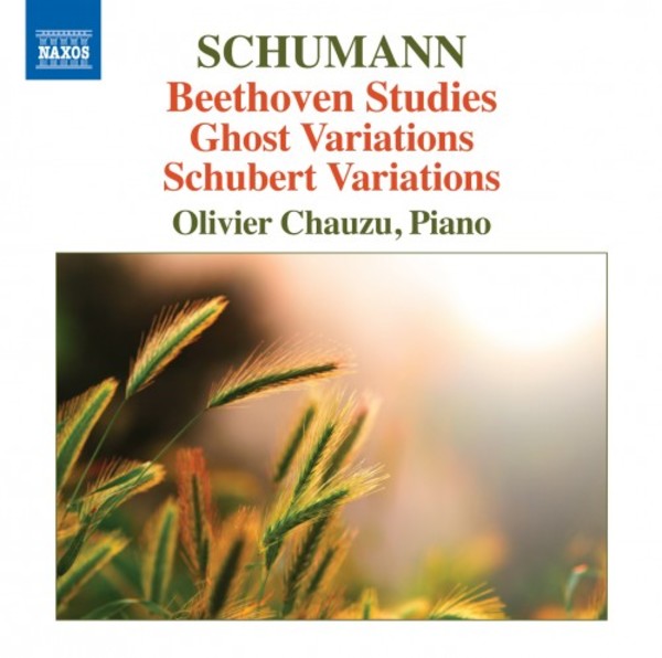 Schumann - Beethoven Studies, Ghost Variations, Schubert Variations | Naxos 8573540