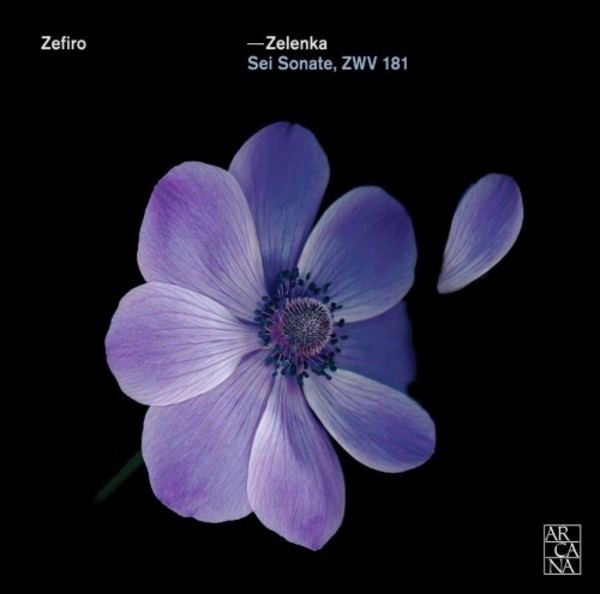 Zelenka - 6 Sonatas, ZWV181 | Arcana A394