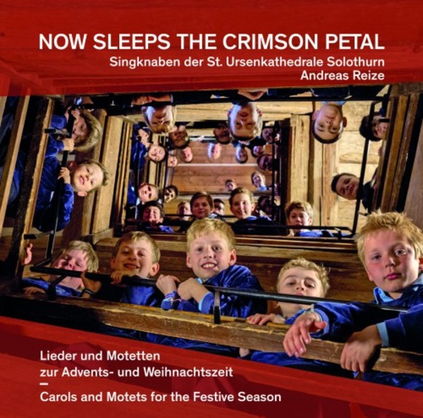 Now Sleeps the Crimson Petal: Carols and Motets for the Festive Season | Rondeau ROP6134