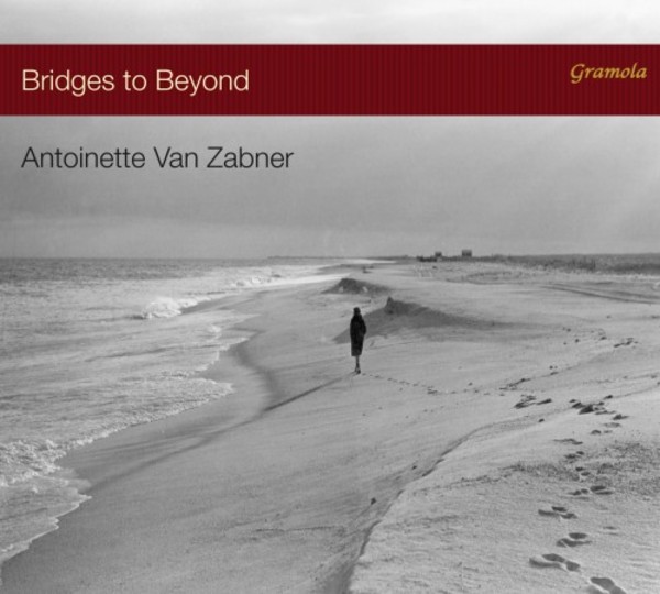 Bridges to Beyond