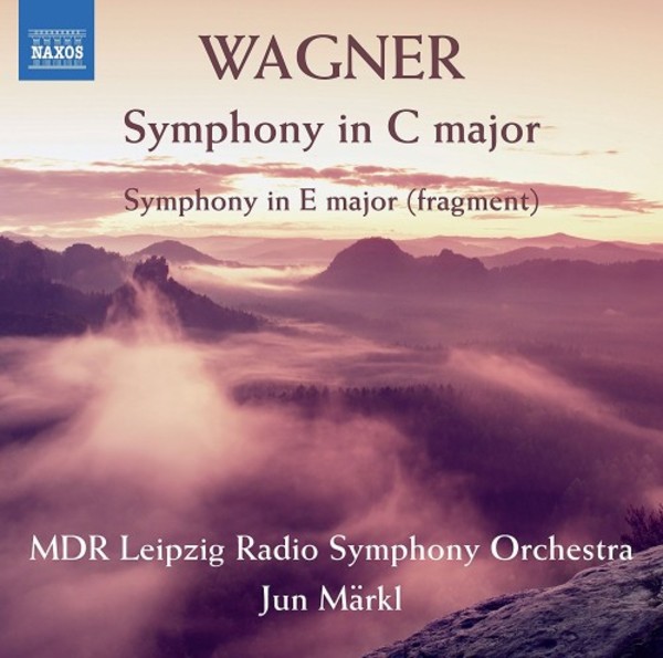 Wagner - Symphony in C major, Symphony in E major (fragment) | Naxos 8573413