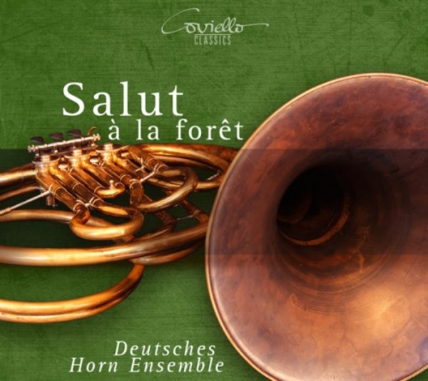 Salut a la foret
