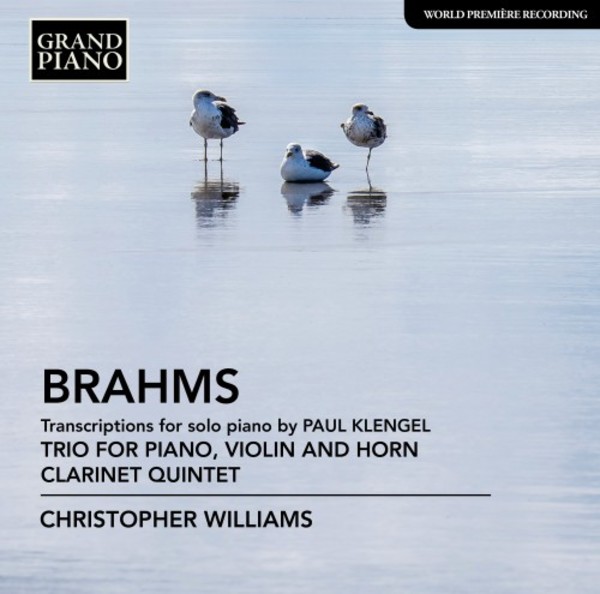 Brahms - Transcriptions for Solo Piano by Paul Klengel
