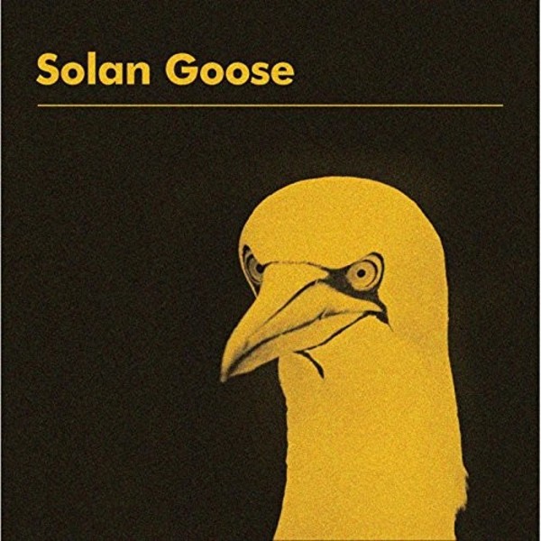 Erland Cooper - Solan Goose (LP) | Phaedra PHA001LP