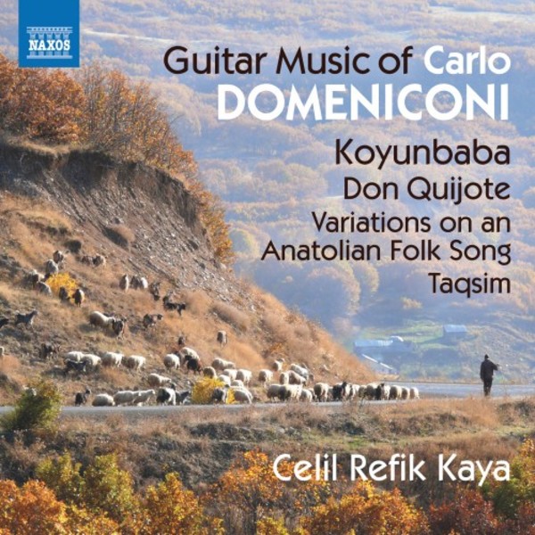 Domeniconi - Guitar Music | Naxos 8573675