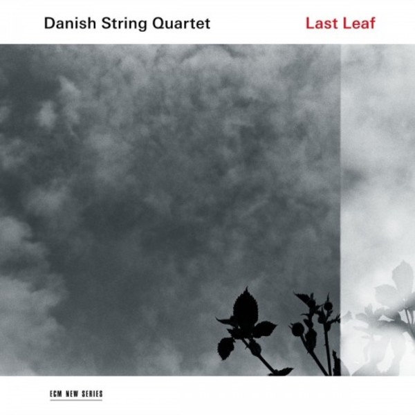 Danish String Quartet: Last Leaf (LP) | ECM New Series 4816497