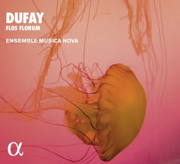 Dufay - Flos florum: Motets, Hymns, Antiphons
