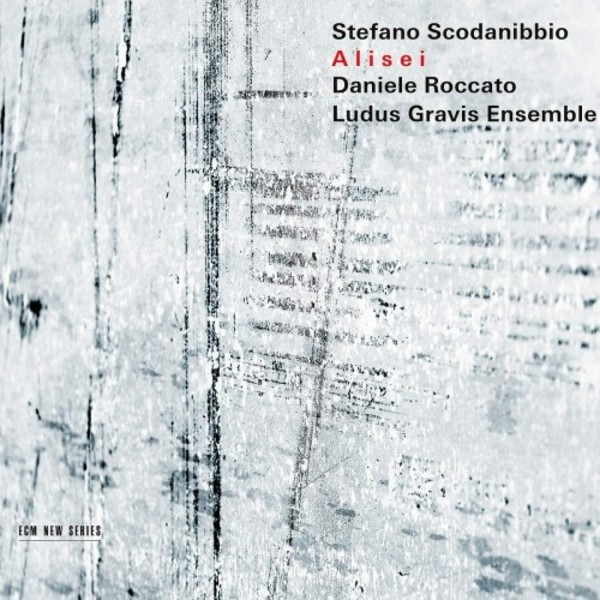 Scodanibbio - Alisei