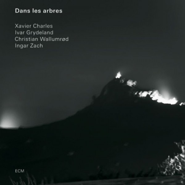 Dans les arbres