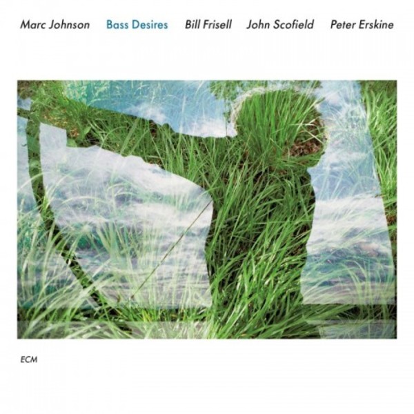 Marc Johnson: Bass Desires