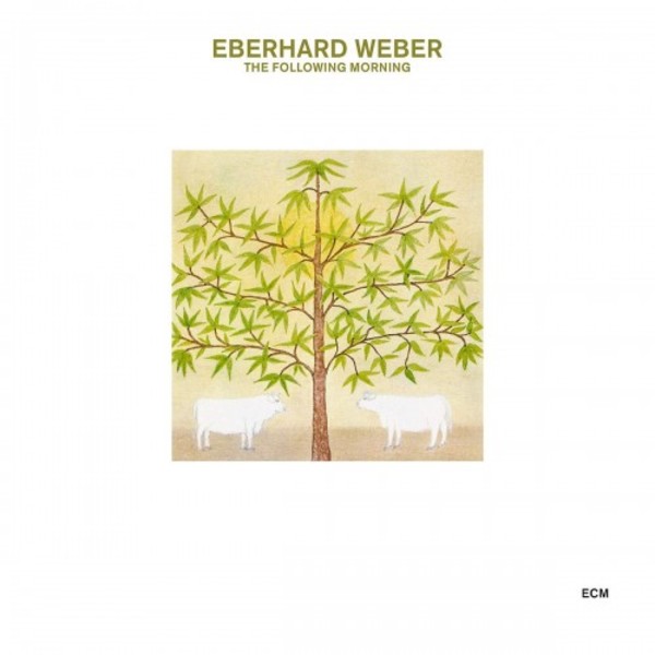Eberhard Weber - The Following Morning | ECM 6743101